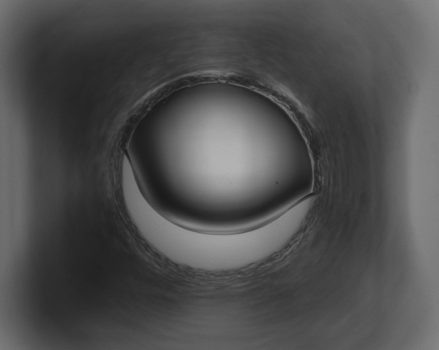 X0000100471448200806271132