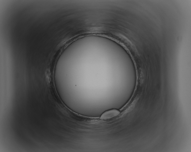 X0000100471449200806271132