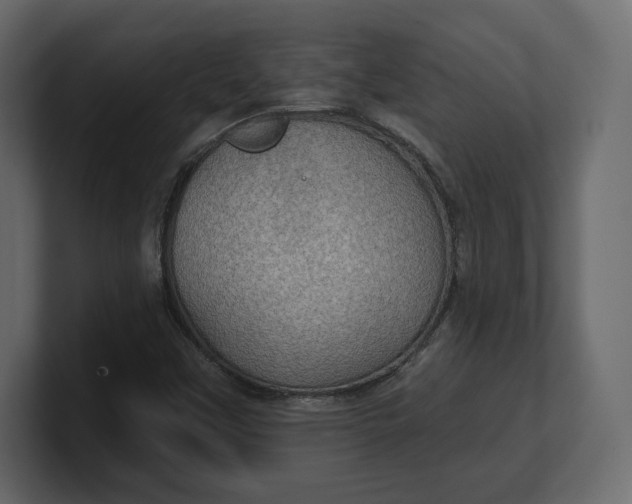 X0000100471451200806271131