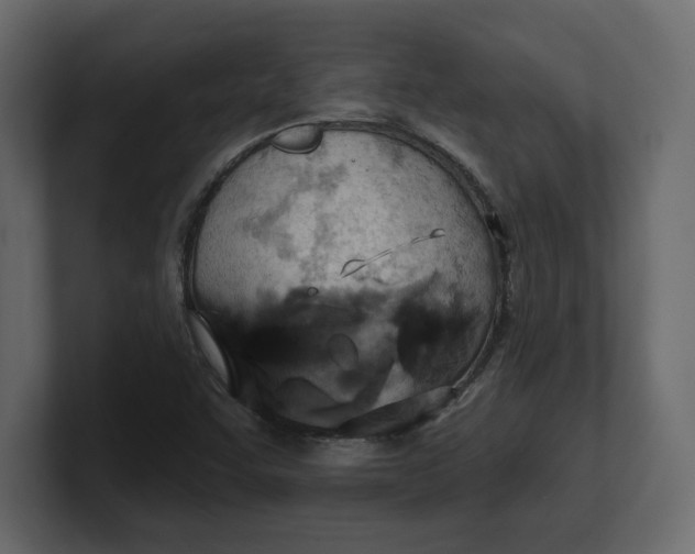 X0000100471455200806271131