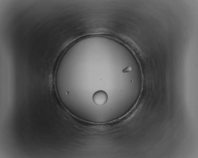 X0000100471457200806271131