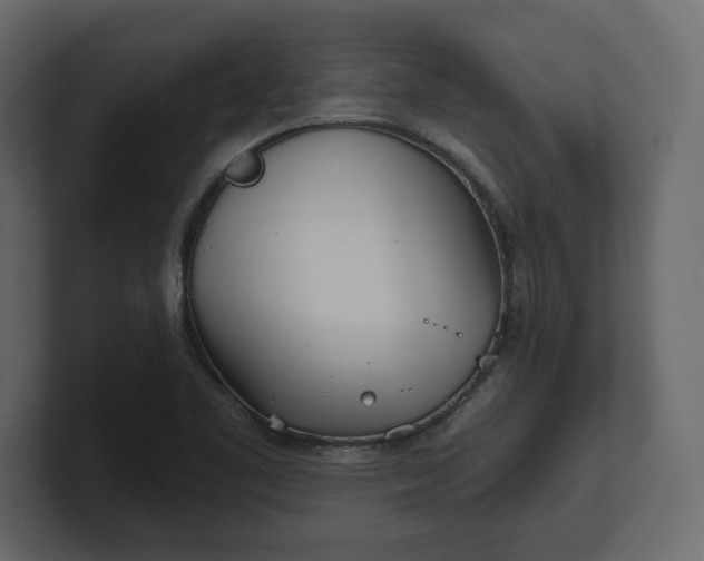 X0000100471461200806271131