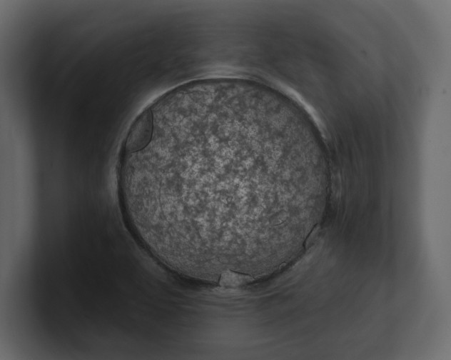 X0000100471463200806271131