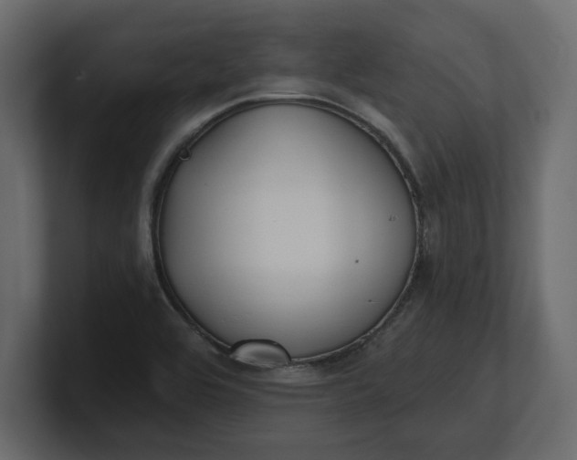 X0000100471464200806271131