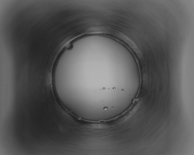 X0000100471465200806271131