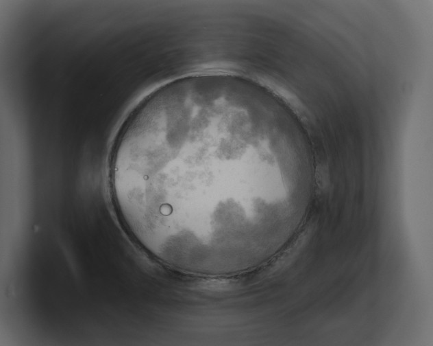 X0000100471470200806271131