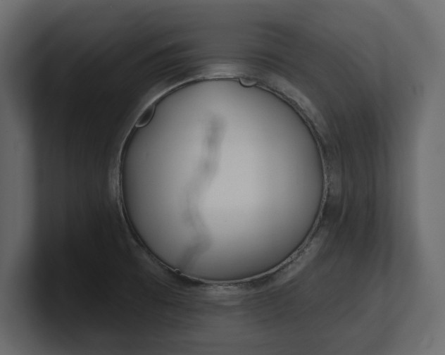 X0000100471473200806271131