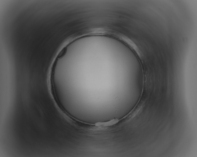 X0000100471475200806271131