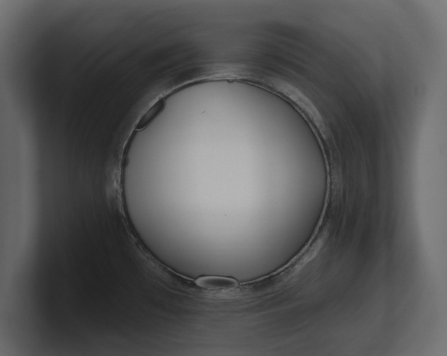 X0000100471481200806271131