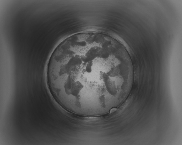 X0000100471483200806271131