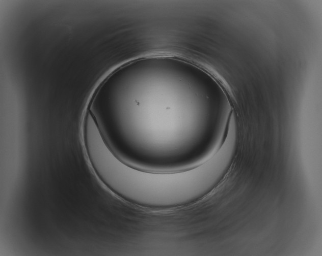 X0000100471484200806271131