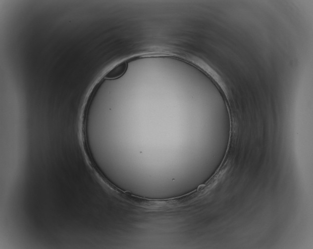 X0000100471485200806271131