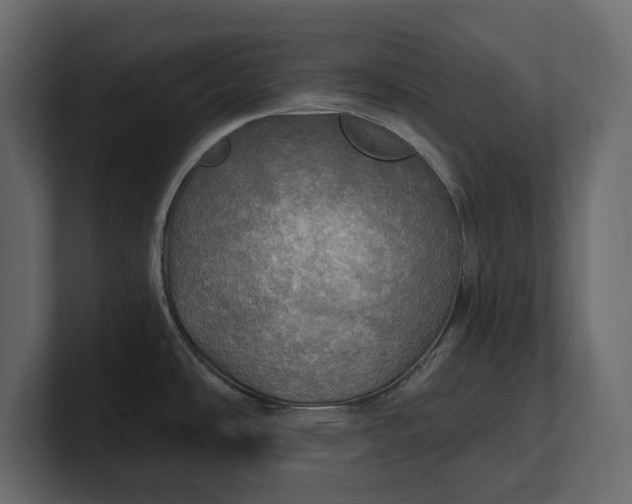 X0000100471486200806271131