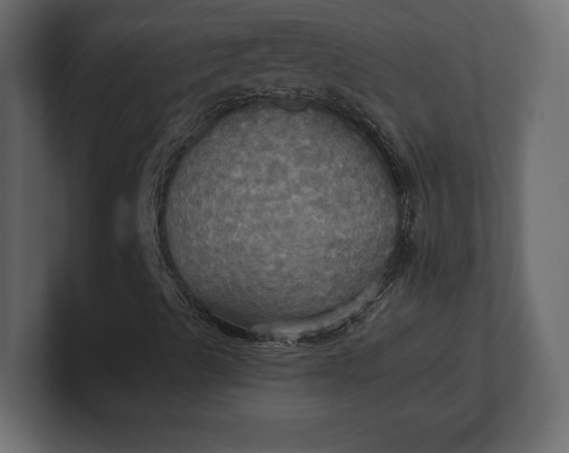 X0000100471489200806271130