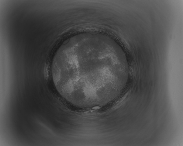 X0000100471490200806271130