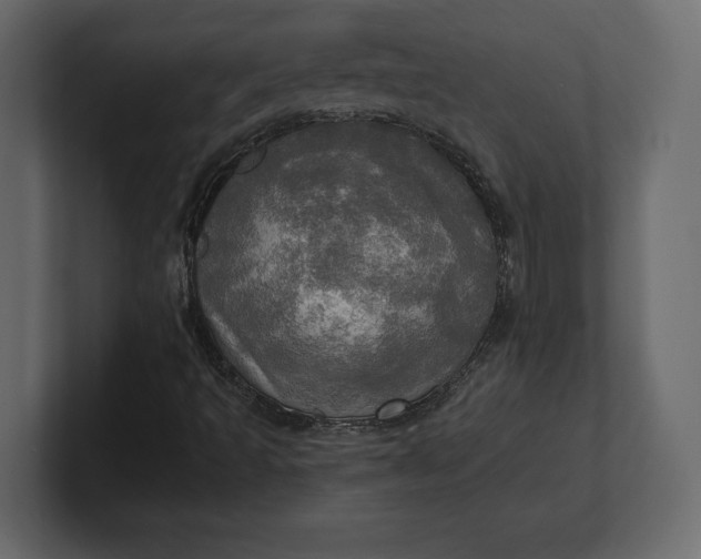 X0000100471493200806271130