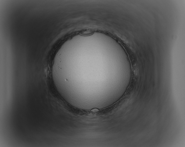 X0000100471495200806271130