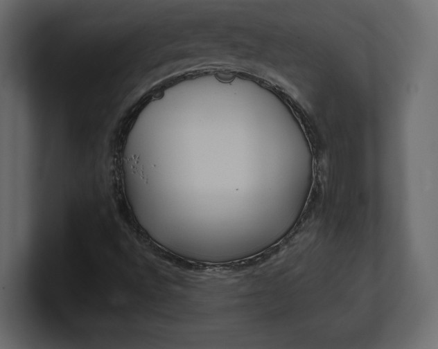 X0000100471496200806271130