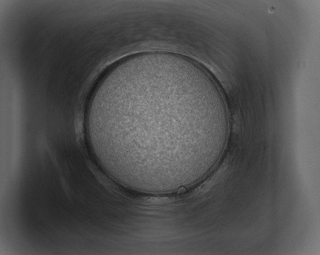 X0000100471499200806271130