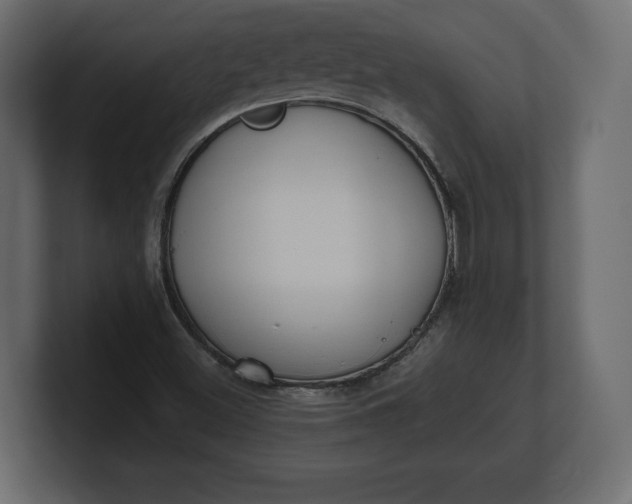 X0000100471500200806271130