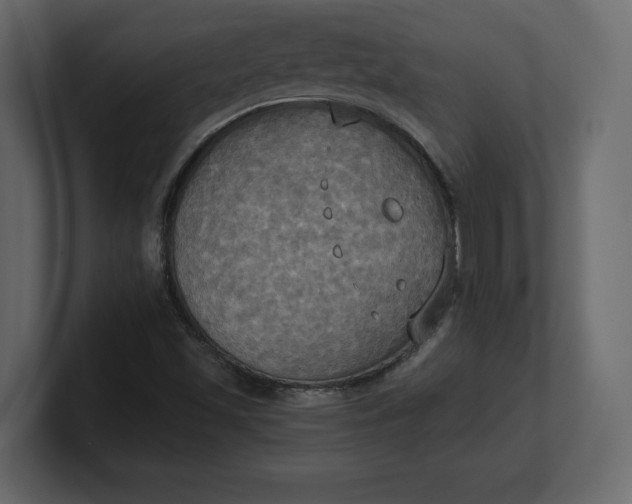 X0000100471501200806271130