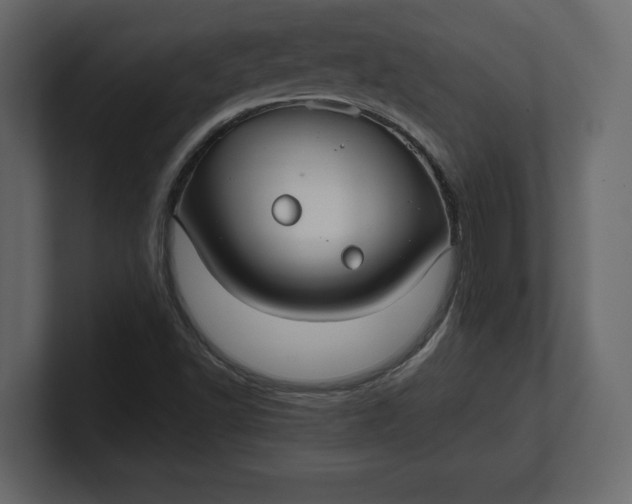 X0000100471502200806271130