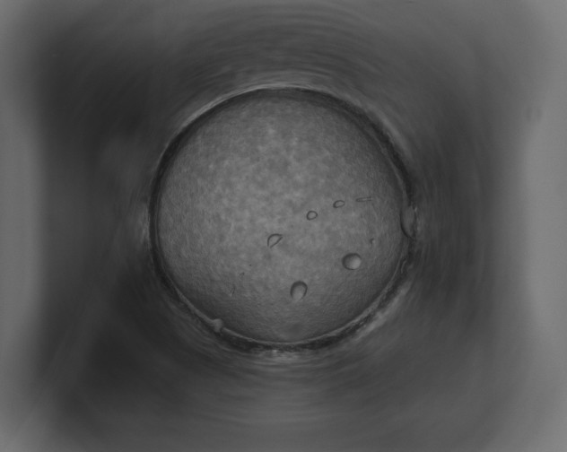 X0000100471505200806271130