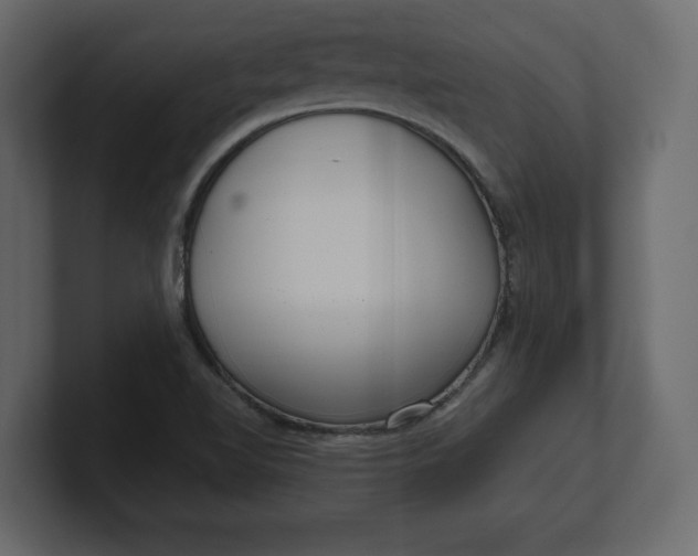 X0000100471510200806271131