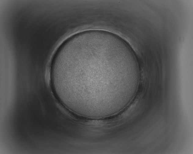 X0000100471511200806271131