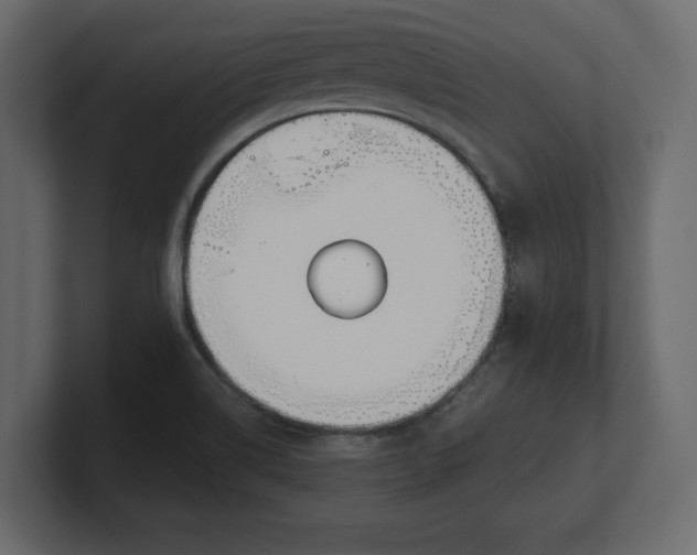 X0000100471514200806271131