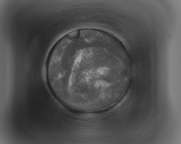 X0000100471517200806271131