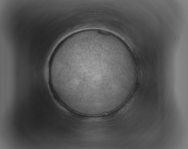 X0000100471519200806271131