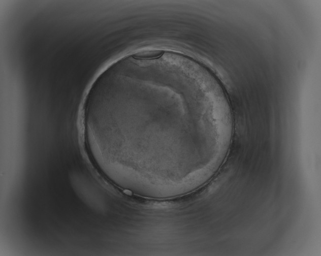 X0000100471522200806271131