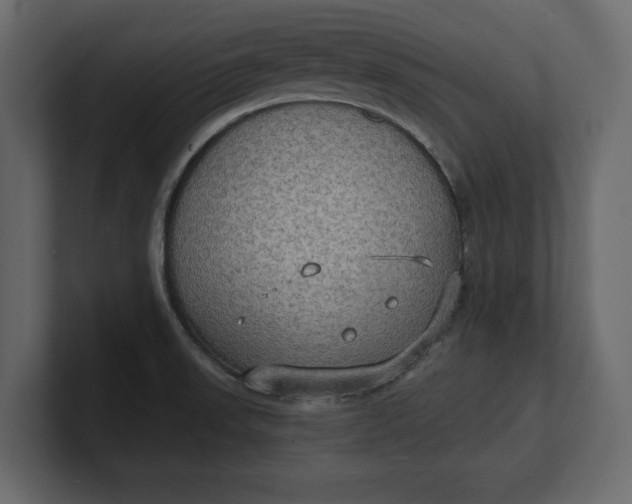 X0000100471523200806271131