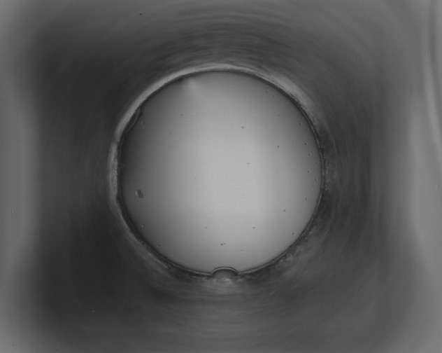 X0000100471524200806271131