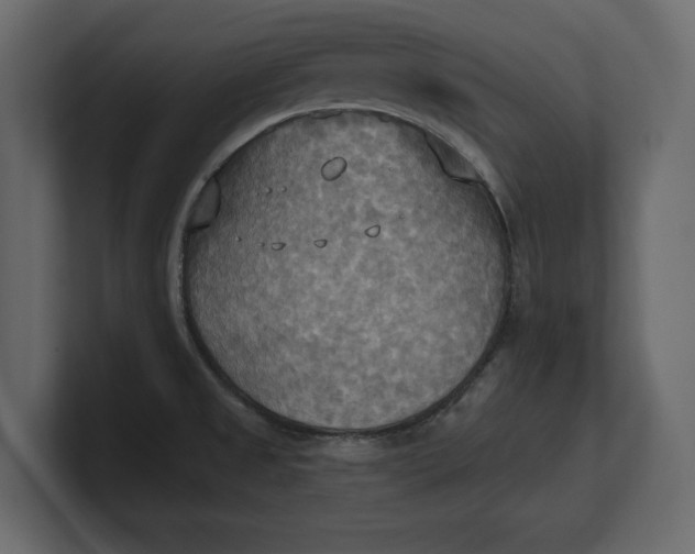 X0000100471525200806271131