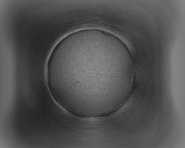 X0000100471527200806271131