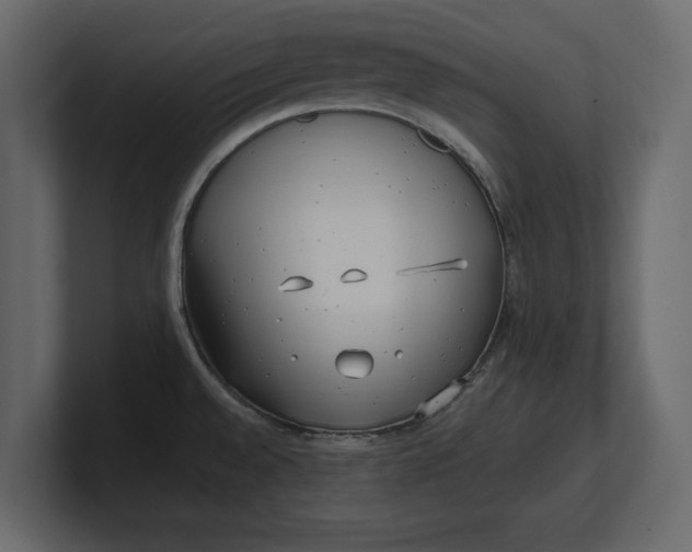 X0000100471528200806271131