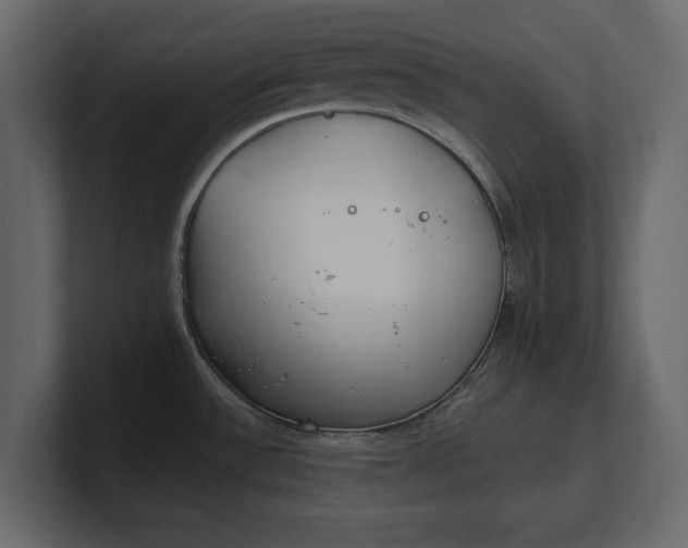 X0000100471532200806271131