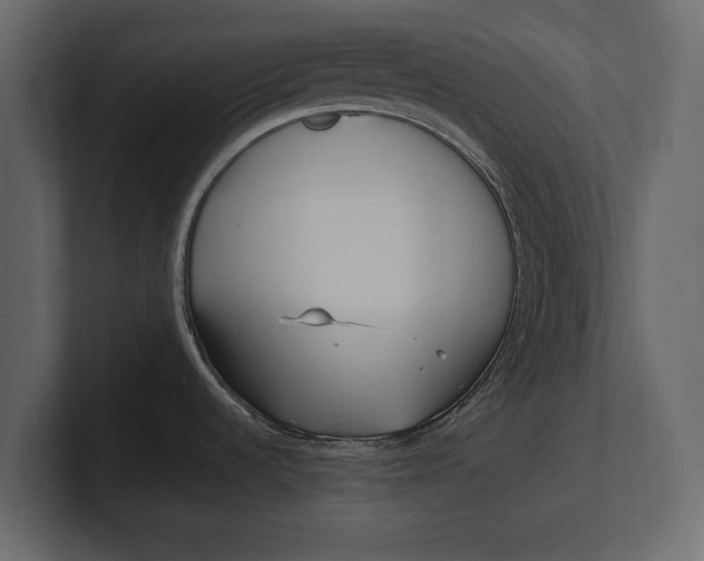 X0000100471536200806271131