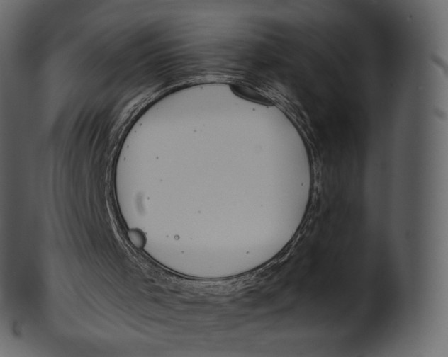 X0000100470001200807031839