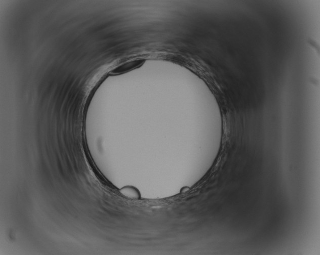 X0000100470003200807031839