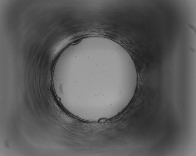 X0000100470005200807031839