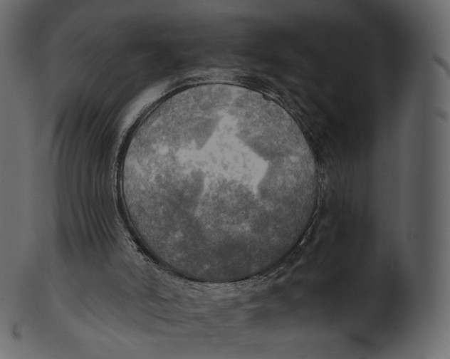 X0000100470006200807031839