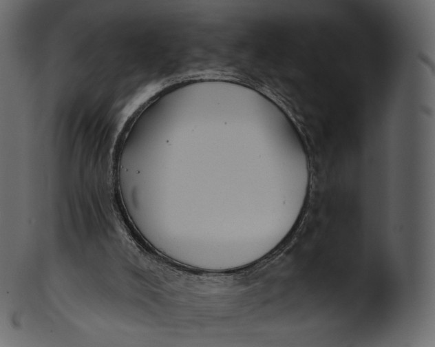 X0000100470008200807031839