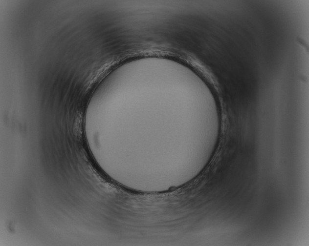 X0000100470009200807031839