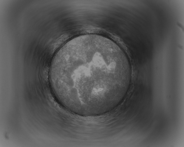 X0000100470010200807031839