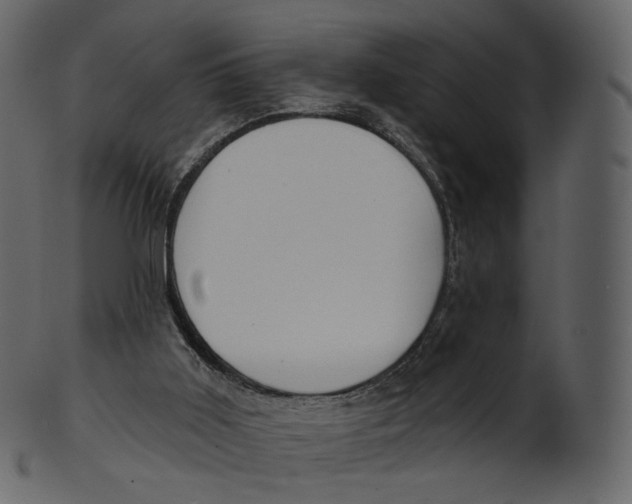 X0000100470011200807031839