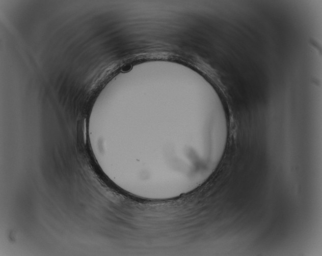 X0000100470013200807031839