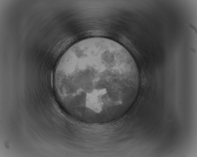 X0000100470014200807031839